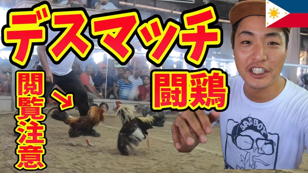 フィリピン国民が熱狂 闘鶏 チキンファイト があまりにも異常すぎたinマニラ Youtube フィリピン国民が熱狂 闘鶏 チキンファイト があまりにも異常すぎたinマニラ Youtube