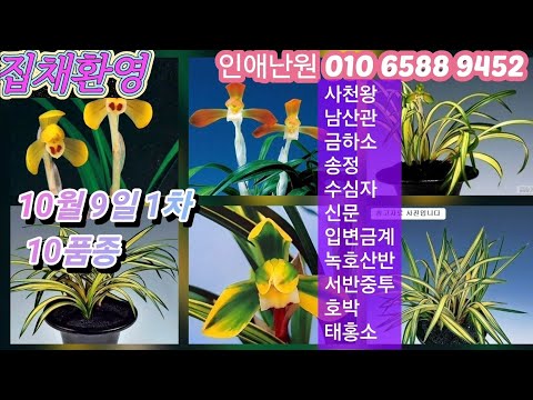 유튜브 썸네일