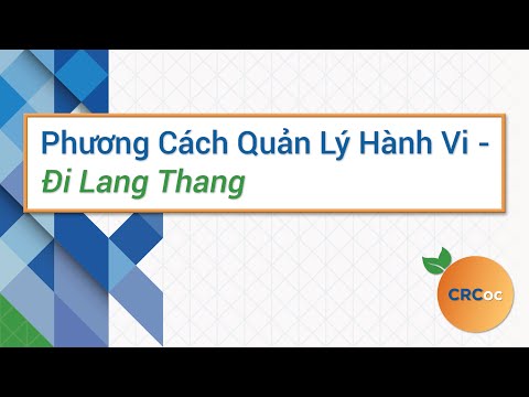 Video: Cung cấp dịch vụ lang thang là gì?