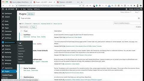 Setup Paypal On wordpress woocommerce Website
