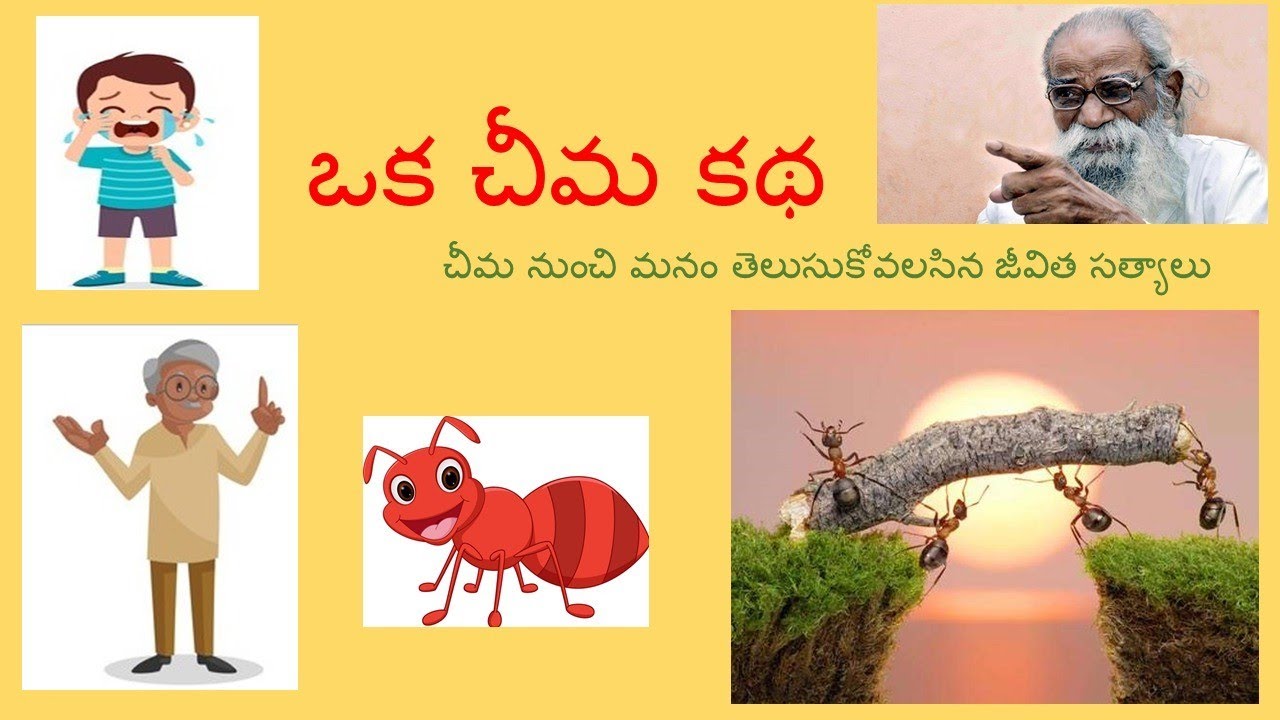 Telugu || 8th, 9th, 10th Classes || ICSE || Gadhya Kadambam||  Oka Cheema kadha .