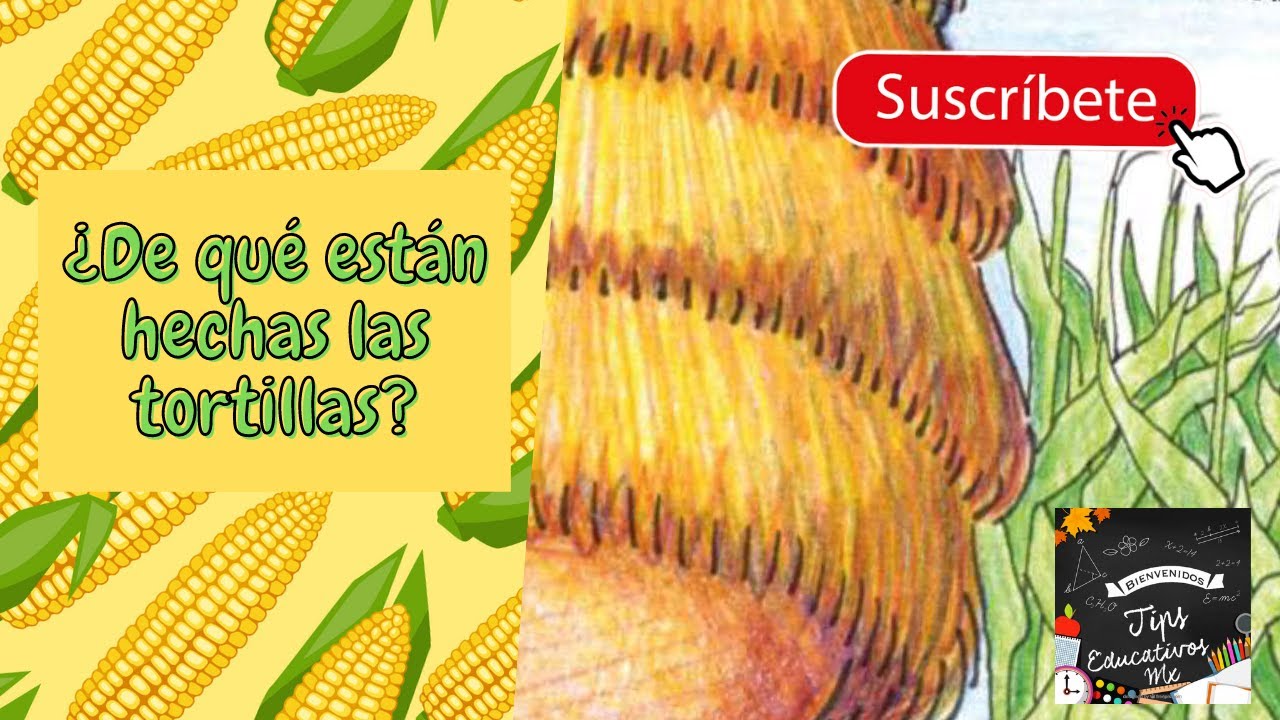 De Qué Están Hechas Las Tortillas Youtube