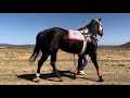 La Patrona Vs La Andy | San Jerónimo De Jacales Durango Mex.