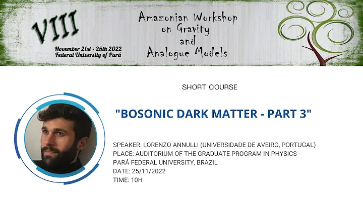 Bosonic Dark Matter (Part 3) - Dr. Lorenzo Annulli - VIII AWGAM