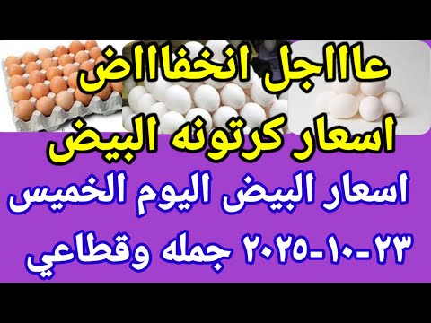 سعر البيض اسعار البيض اليوم الخميس 23 10 2025 جمله وقطاعي فى مصر