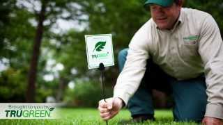 How to Mow the Lawn | Lawn Mowing Techniques & Tips for Beginners