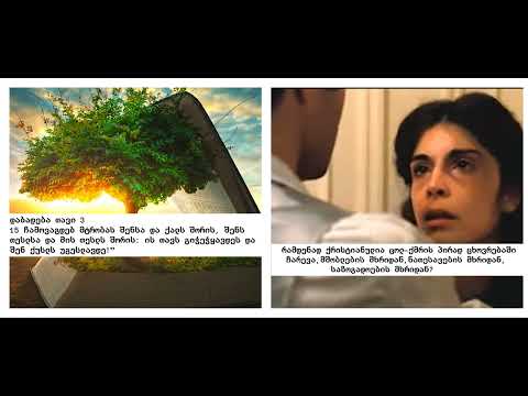 სად და როდის დაიწყო ბრძოლის ისტორია და ქრისტიანულია  თუ არა ოჯახის პირად ცხოვრებაში ჩარევა?