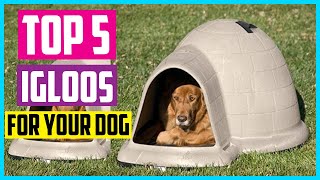 ✅ Top 5 Best Dog Igloos In 2024 screenshot 2