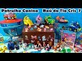 Patrulha Canina Baú da Tia Cris 7 - Paw Patrol Toys #baudatiacris #patrulhacanina