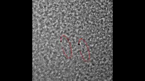 Synchronization collective oscillation