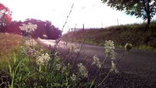 Longboarding in Ohio LLBC Crew 2013