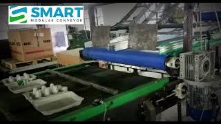 Egg Tray Transfer  Modular Belt Conveyor | Smart Modular Conveyor