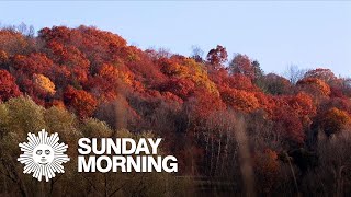 Nature: Fall colors in New York