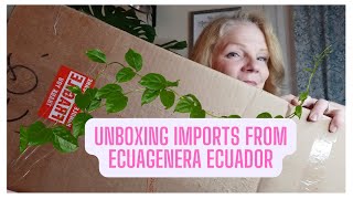 Peace Through Plants Unboxing Imports From Ecuagenera Ecuador