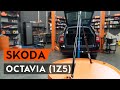 Kako zamenjati amortizer pokrova prtljažnika na OCTAVIA (1Z5) [VODIČ AUTODOC]