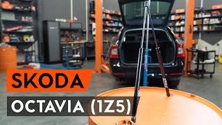 Kako zamenjati amortizer pokrova prtljažnika na OCTAVIA (1Z5) [VODIČ AUTODOC]