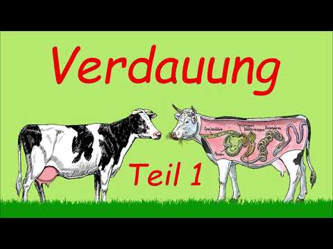 Video: Wie kann man Labmagenverschiebungen vorbeugen?