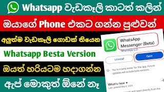 New Whatsapp Beta Tester Version in Sinhala | Join Whatsapp Beta Version | Whatsapp Tips Sinhala screenshot 4