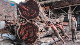 Advanced Industrial Machinery In Modern Sawmill Work