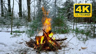 🔥 Костер в зимнем лесу (12 ЧАСОВ). Расслабляющий костер с горящими бревнами и звуками огня