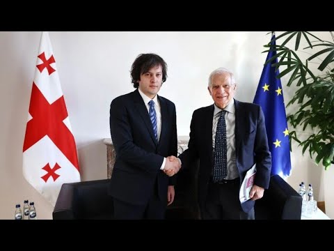 Премьер-министр Грузии Кобахидзе провел переговоры с вице-президентом Еврокомиссии Жозепом Боррелем