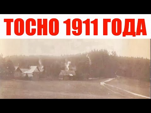 Город Тосно 1911 года