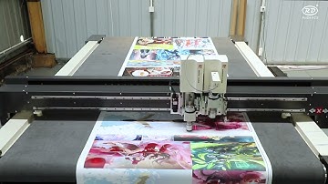 Small vision Oscillating knife cutting control system,MARK point cycle feeding cutting,large format