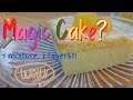 Magic Cake| Custard Cake |  1 mixture, 3 layers! | Easy dessert!