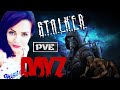 DAYZ PVE | ЛУЧШИЙ ПВЕ СЕРВЕР INFLUENCE STALKER ПВЕ | Обновление в Дейз #4