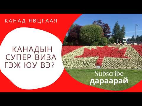 Видео: Сувилагчдыг ямар ангилдаг вэ?