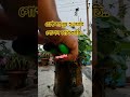 শ্রেষ্ঠ মানূষ হওয়ার গোপন চাবিকাঠি!#মিজানুর_রহমান_আজহারী #sorts #vairelsort#sortsfeed#foryou#ytshorts