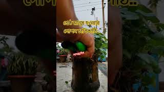 শ্রেষ্ঠ মানূষ হওয়ার গোপন চাবিকাঠি!#মিজানুর_রহমান_আজহারী #sorts #vairelsort#sortsfeed#foryou#ytshorts
