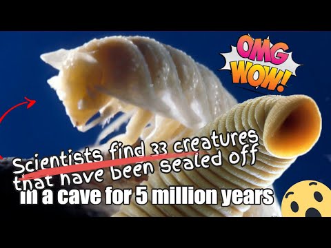 Vidéo: Movile Cave: La Vie Surnaturelle Sur Terre - Vue Alternative