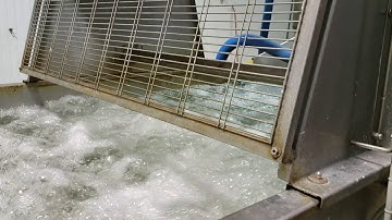 Technoceam washer
