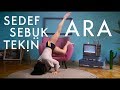 Sedef sebktekin  ara official