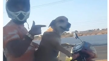 Ultimate "India Is Not For Beginners" Compilation Part 6