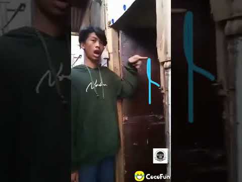 Video: Apakah sisir robi membunuh telur?