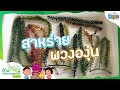 สาหร่ายพวงองุ่น | บ้านนักวิทยาศาสตร์น้อย