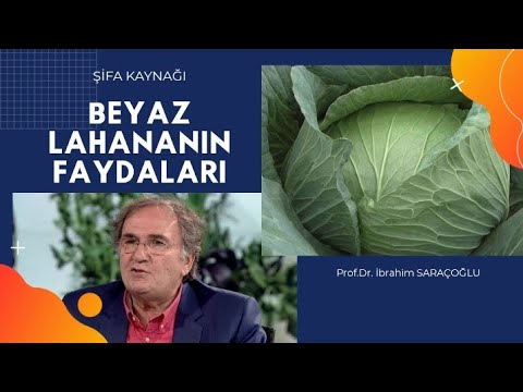 BEYAZ LAHANANIN FAYDALARI / Lahananın Zararları / Kelemin Faydaları