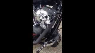 Custom 12 Harley Wide Glide