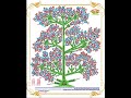 تصميم احترافي لشجرة العائلة Professional design of the family tree