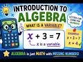 Introduction to Algebra (What Is a Variable?)
