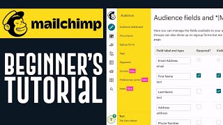 Mailchimp Tutorial For Beginners 2025 | Easy Mailchimp Tutorial (2025)
