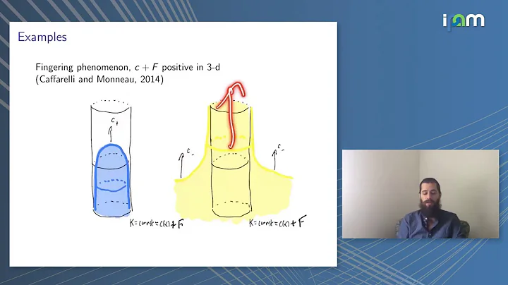 William Feldman: "Mean curvature flow with positiv...
