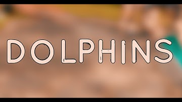 Port of Call - Dolphins Official Video