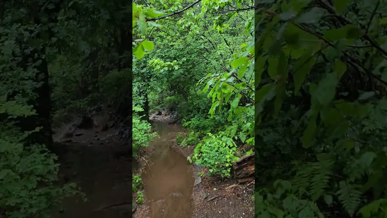 McCloud Falls Trail in rain & thunder, 1 minute