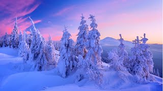 The Enchanting Beauty Of Winter Nature Under Very Gentle Calm Pleasant Relaxing Music!