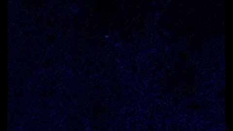 Single molecule imaging of NGF axonal transport in microfluidic devices