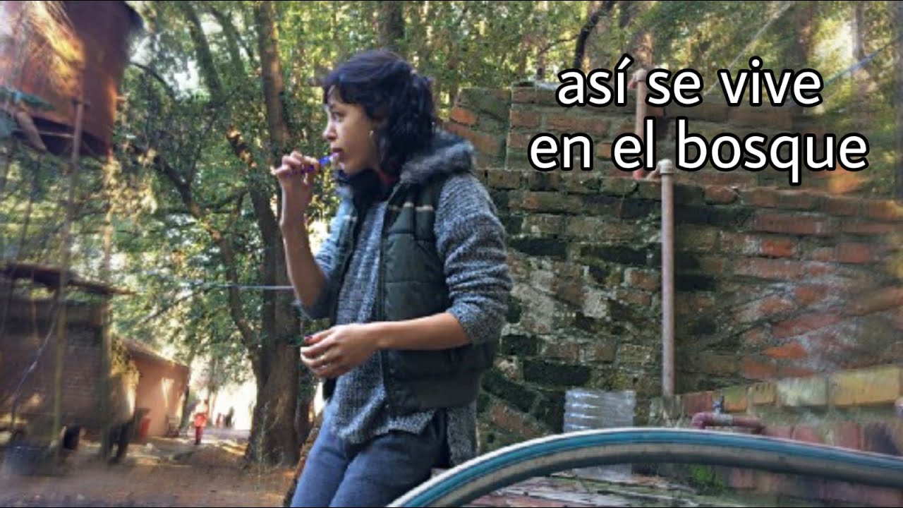 VOY AL BOSQUE DONDE VIVE MI MAMÁ PARTE 2