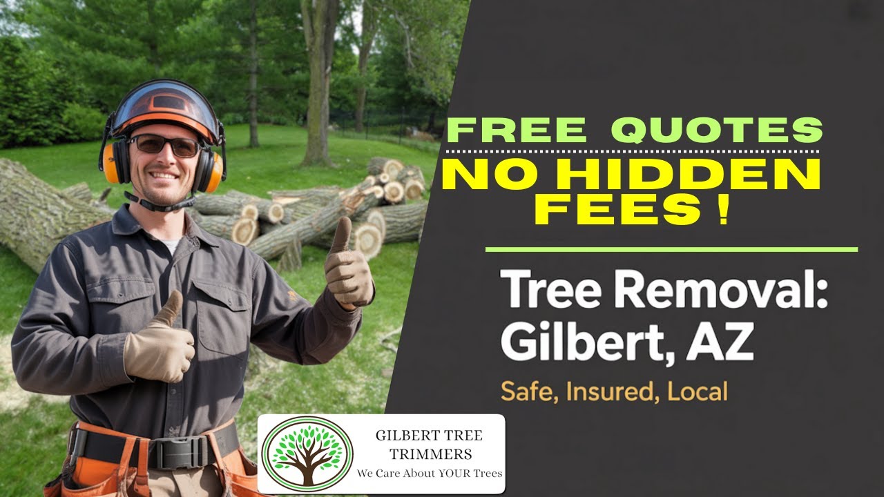 Gilbert Tree Removal